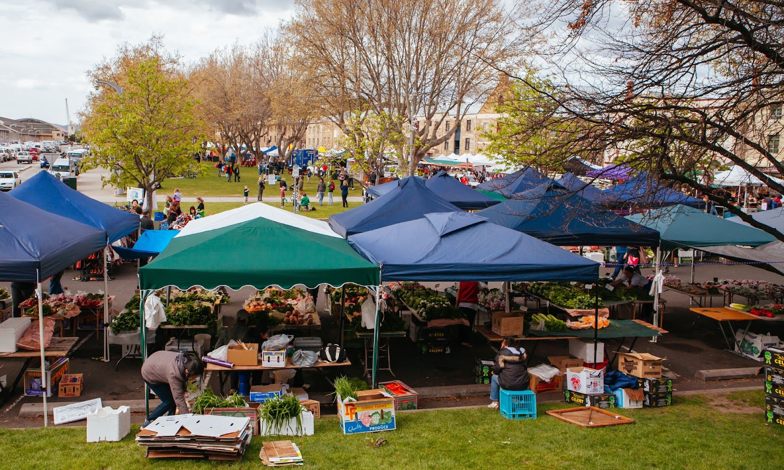 Carpas para mercadillos y ferias
