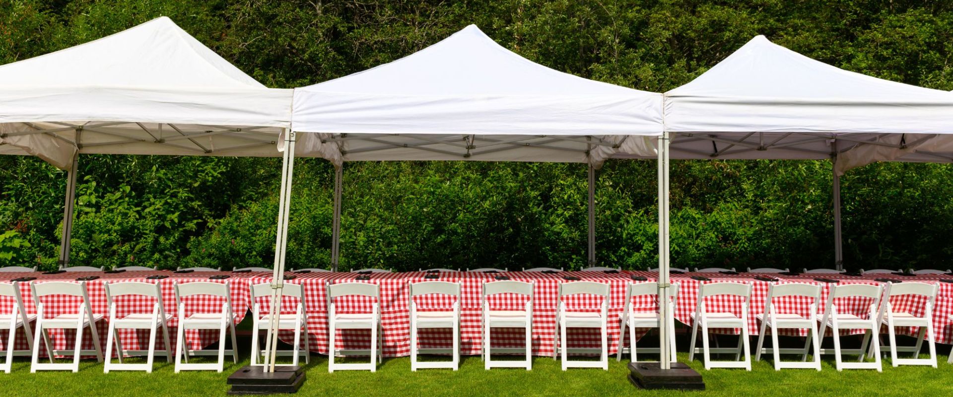 Mantenimiento de una carpa después del verano